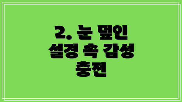 2. 눈 덮인 설경 속 감성 충전
