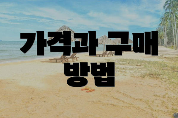 가격과 구매 방법