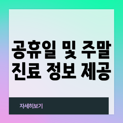 공휴일 및 주말 진료 정보 제공