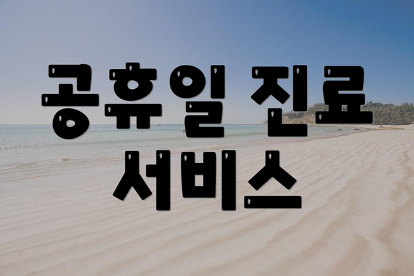 공휴일 진료 서비스
