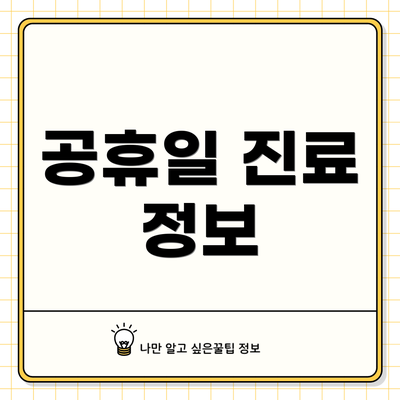공휴일 진료 정보