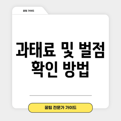 과태료 및 벌점 확인 방법