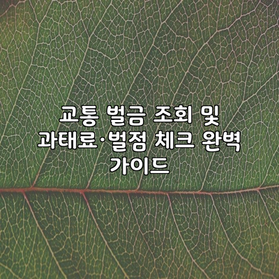 교통 벌금 조회 및 과태료·벌점 체크 완벽 가이드