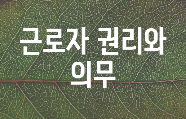 근로자 권리와 의무
