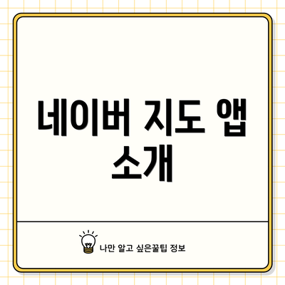 네이버 지도 앱 소개