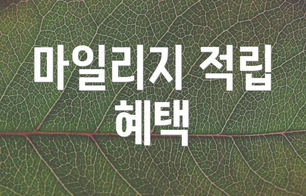마일리지 적립 혜택