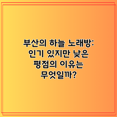 부산의 하늘 노래방: 인기 있지만 낮은 평점의 이유는 무엇일까?