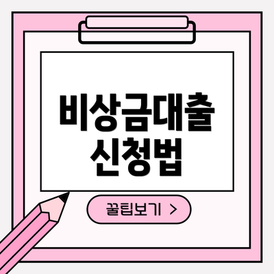 비상금대출 신청법