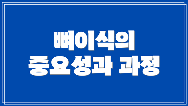 뼈이식의 중요성과 과정