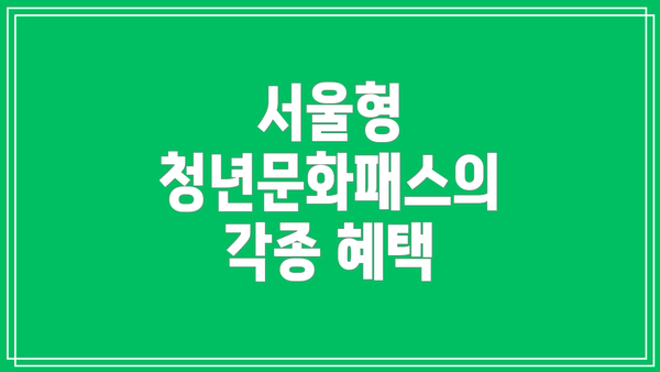 서울형 청년문화패스의 각종 혜택