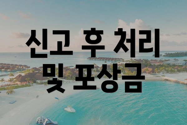 신고 후 처리 및 포상금