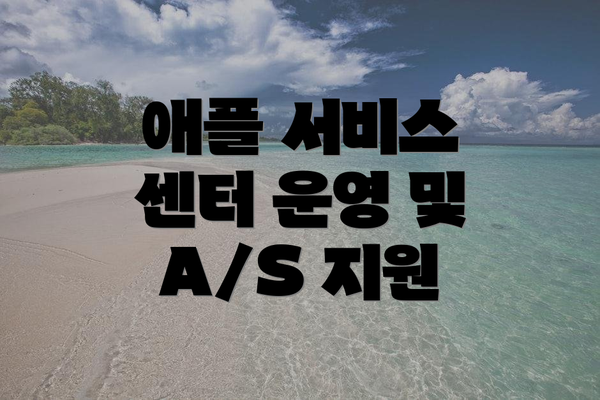 애플 서비스 센터 운영 및 A/S 지원