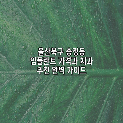 울산북구 송정동 임플란트 가격과 치과 추천 완벽 가이드