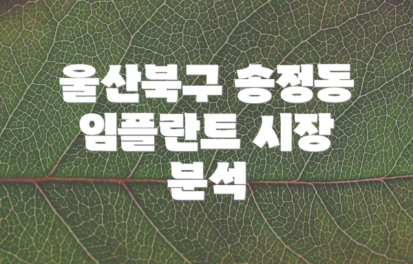 울산북구 송정동 임플란트 시장 분석