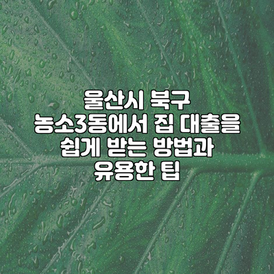 울산시 북구 농소3동에서 집 대출을 쉽게 받는 방법과 유용한 팁