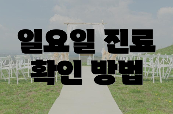 일요일 진료 확인 방법