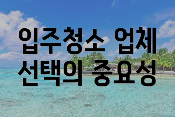 입주청소 업체 선택의 중요성