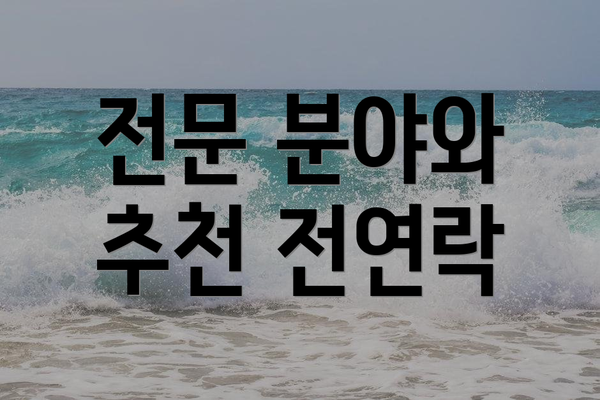 전문 분야와 추천 전연락