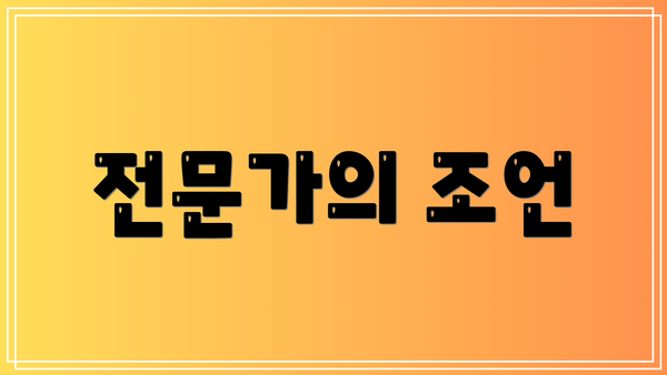 전문가의 조언