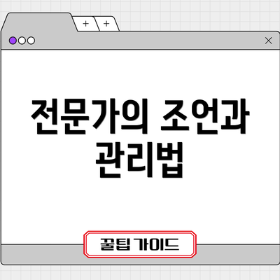 전문가의 조언과 관리법