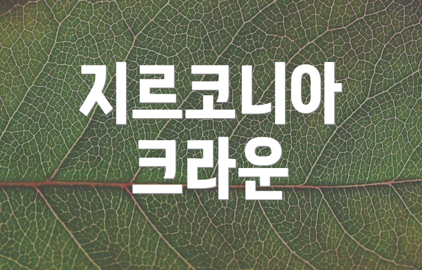 지르코니아 크라운