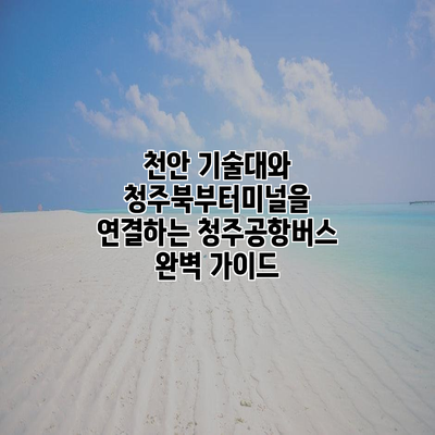 천안 기술대와 청주북부터미널을 연결하는 청주공항버스 완벽 가이드