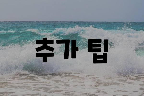 추가 팁