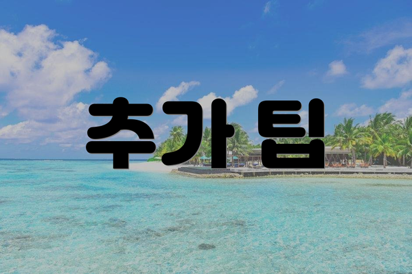 추가 팁