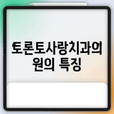 토론토사랑치과의원의 특징