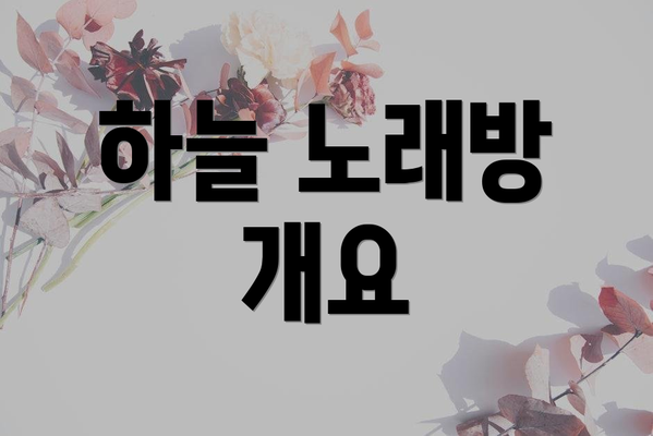하늘 노래방 개요