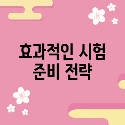 효과적인 시험 준비 전략